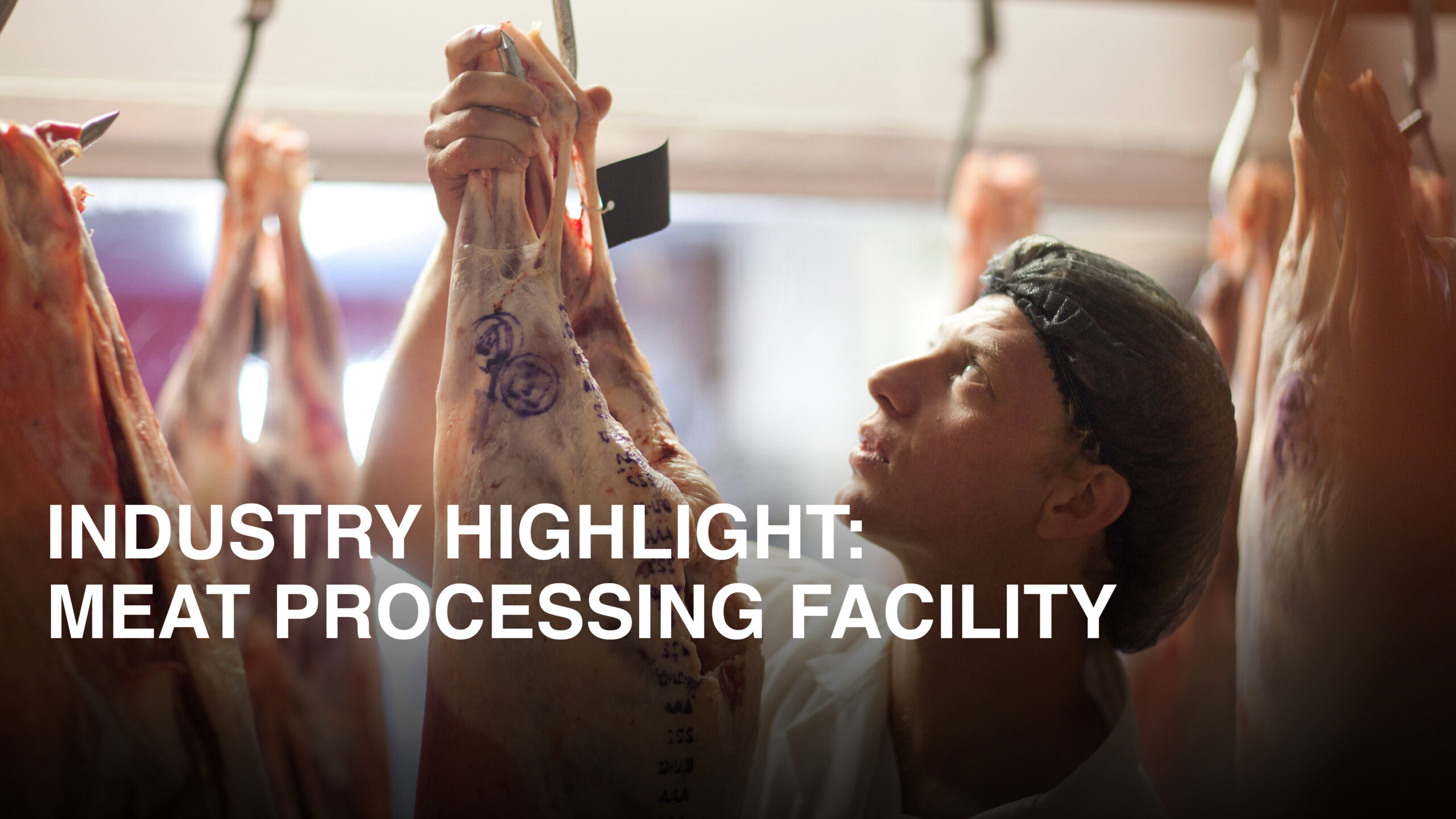 Worker inspecting hanging meat carcasses in a meat processing facility, highlighting industrial food production and climate control challenges.